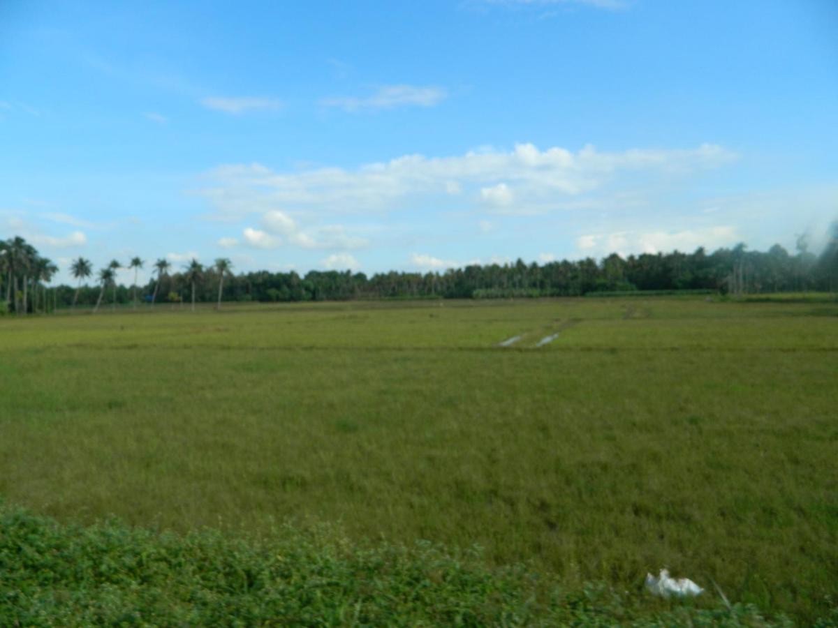 ZaMaRaYa Bed&Breakfast Angamaly Exterior foto
